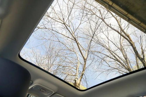 轴距超比亚迪唐,却比宋plus ev还便宜,配激光雷达还将出口海外